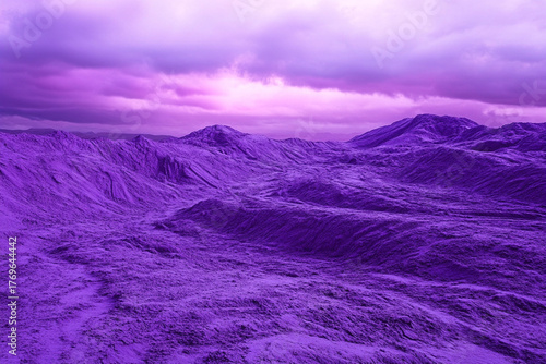 Fototapeta Naklejka Na Ścianę i Meble -  Purple-tinted sand dunes after a rare desert rain