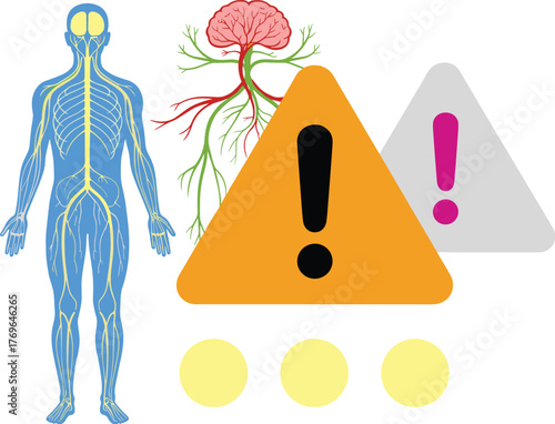 Human Nervous System Illustration Presenting Neurological Risks and Brain Health Concerns in a Medical Environment, Used for Educational Purposes and Healthcare Presentations Featuring Clear Anatomica