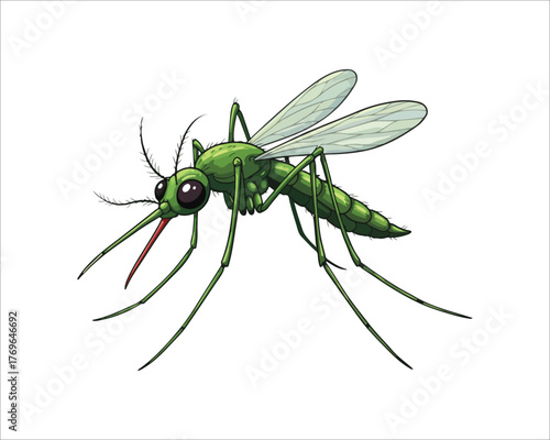 Illustration of a Green Mosquito isolated on White Background Vector Art