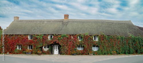 Old house in the village covered in ivy