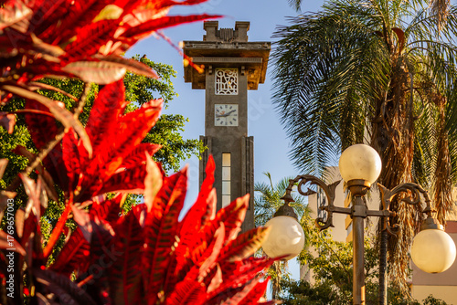 Detalhe da torre do relógio em estilo Art Deco na  Avenida Goiás em Goiânia, emoldurado por plantas de folhas vermelhas em um dia claro e ensolado.