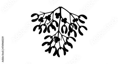 Symbolic mistletoe branch illustration, a simple monochrome vector for holiday decor