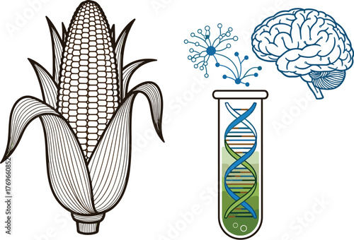 Corn Genetic Engineering Research & Development: Modern Agriculture Biotechnology Advancements in Lab for Sustainable Food Production & Crop Science Innovation; Exploring DNA & Brain for Future Growth