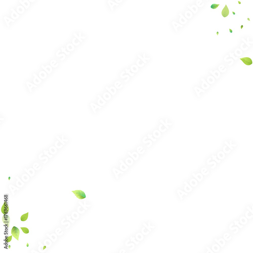 green abstract background