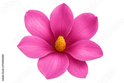 Pink magnolia flower blooming with soft petals, displaying vibrant beauty and natural freshness on transparent background