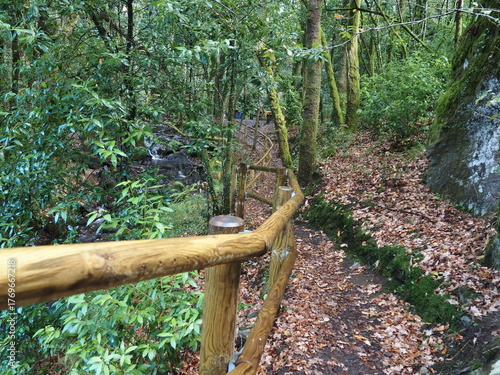 ruta de los molinos de Mezonzo, bonita ruta de senderismo por los molinos harineros y batanes. impregnados en aromas de vegetación silvestre, de los cantos de los pájaros, La Coruña, Galicia, España