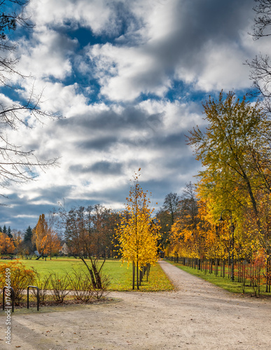 Late autumn in old public park, walking pedestrian alley among golden color t...