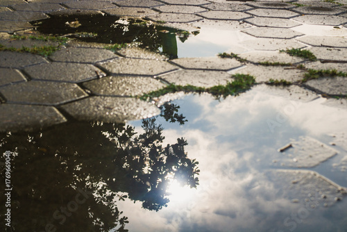 reflection of trees and sun on flooded paving blocks in the morning