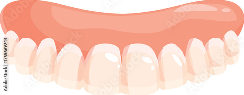 Denture prosthetic representing healthy gums and teeth, useful for dental and healthcare marketing