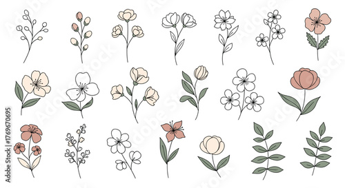 Collection of hand-drawn wildflowers, foliage, and botanical elements, perfect for adding a touch of nature and elegance to any design project.