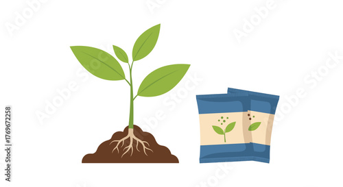 Illustration of a seedling growing from soil next to two packets of seeds.