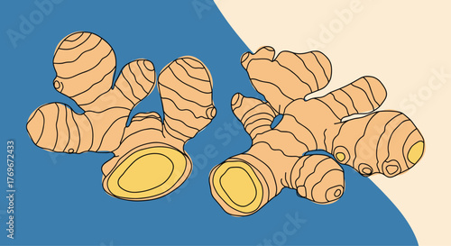 An artistic illustration depicting two ginger roots, one whole and another cut open, on a blue and beige split background.