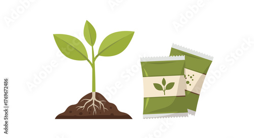 Seedling and Seed Packets: A visual representation of growth and planting seeds.