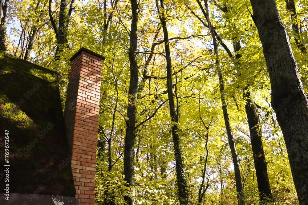 Obraz premium Cabin in the Woods in Sunlight, Golden Fall Colors, Brick Chimney, Autumn Landscape, Colorful Leaves, Autumn Forest, Fall Scenery, Nature Photography, Canon EOS 250D, Canon EOS Rebel SL3