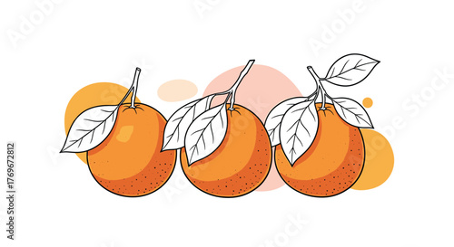 Illustration of three ripe oranges with leaves on branches, set against soft pastel circles.