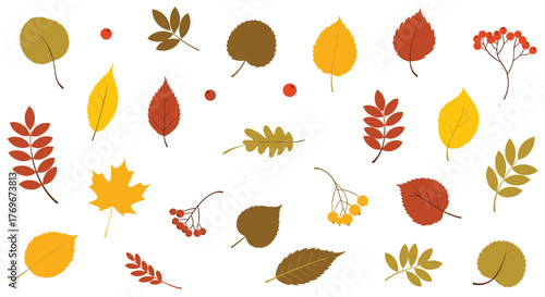 An inviting array of autumn leaves and berries, featuring diverse shapes and hues, ideal for fall-themed graphic design.