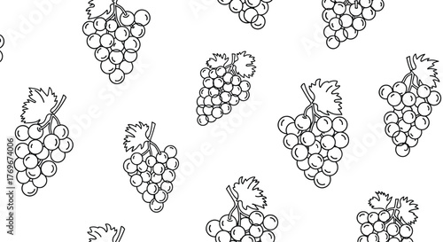 Seamless pattern with hand-drawn outline illustrations of grape bunches and leaves on a white background, ideal for textiles or packaging design.