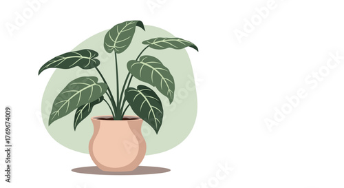 Indoor potted plant with large, veined leaves in a peach-colored pot against a soft green backdrop, conveying natural beauty and home decor.