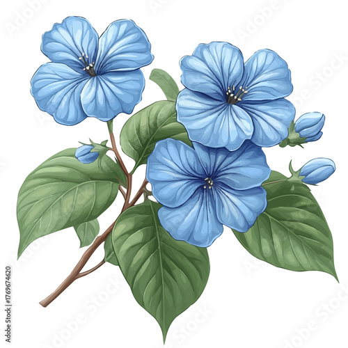 Plumbago Flower, in whimsical style, shown as a playful cartoon isolated on a white background.