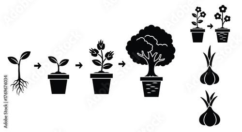 Life cycle of a plant from seedling to mature tree and other plant icons.