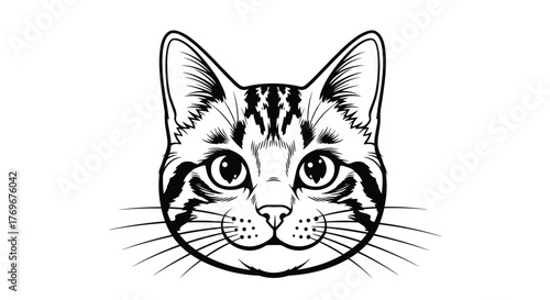 A detailed black and white illustration of a domestic cat's face, displaying a focused expression, whiskers, and intricate patterns.
