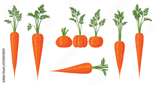 Colorful cartoon illustration featuring a variety of differently shaped and styled carrots with green leafy tops on a white background.