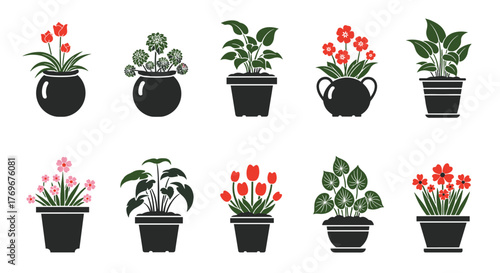 Collection of colorful houseplant illustrations in black pots against a white background.