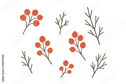 Red berries and bare branch elements creating a seamless autumn and winter season pattern with transparent background