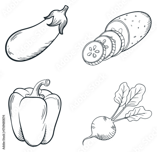 Hand-drawn illustrations of eggplant, sliced cucumber, bell pepper, and radish
