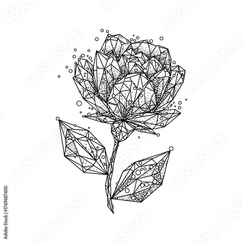 Geometric Rose Flower Illustration black and white stippling tattoo design graphic floral line art polygon triangle abstract modern