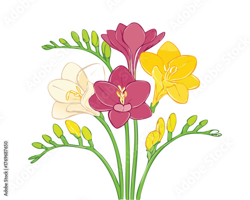 Digital Art Freesia Flower, hand-drawn bouquet watercolor painting, vector illustration, isolated on a white background