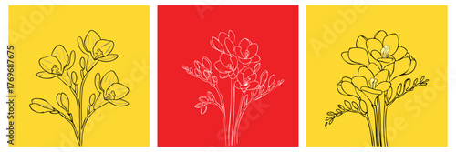 Freesia Flower Outline art Vector Set with red and yellow card for Graphic Design social media visuals.