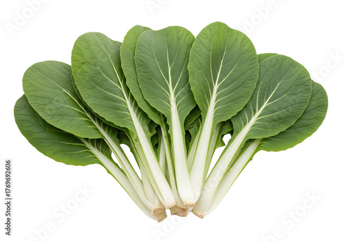 Fresh and Vibrant Bok Choy on White Background.