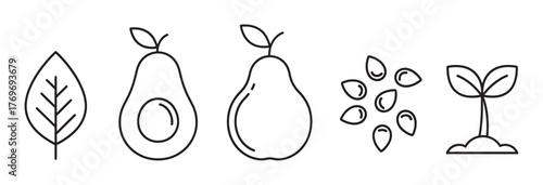 Black outline icons of a leaf, avocado, pear, seeds, and a sprouting plant, representing nature and growth concepts.