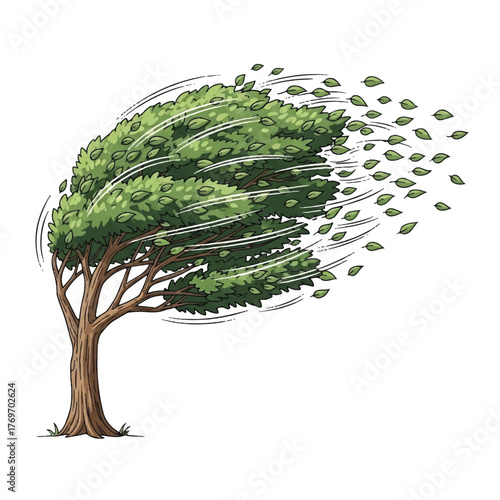 Illustration of a green tree with its leaves blowing in the wind