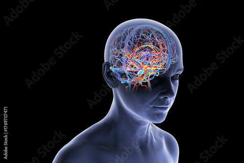Human brain with highlighted blood vessels, 3D illustration.