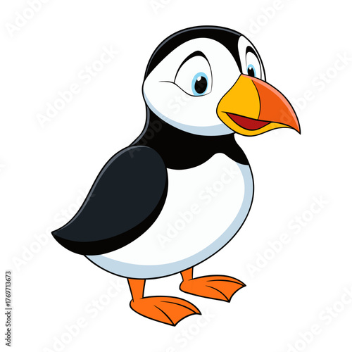 Puffin bird vector illustration