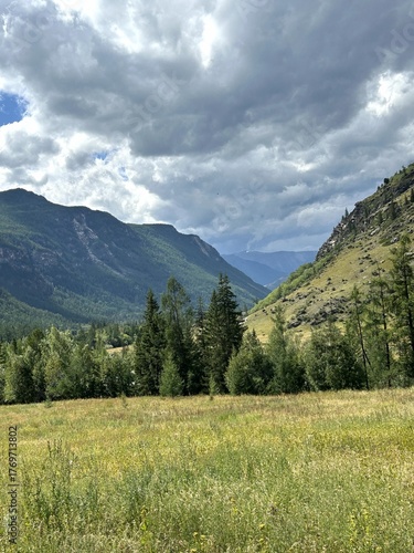 Sundappled valley surrounded by mountains and flowing grass