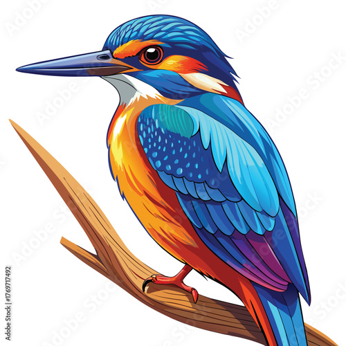 Vibrant kingfisher illustration on branch with blue and orange plumage