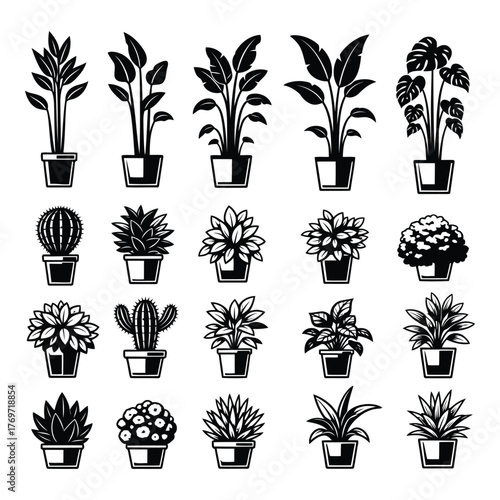 Plants potted houseplants collection isolated vector graphic elements vector