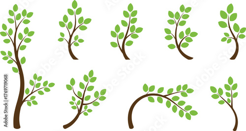 Comprehensive collection of nature and growth vector illustrations, including tree branches, plant life cycle stages, blossoming bushes, vines, and foliage, symbolizing organic ecology and spring 