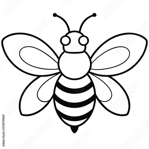 bee vector illustration