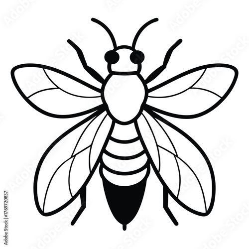 bee vector illustration
