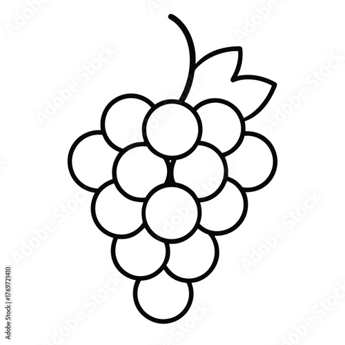 grape bunch line art