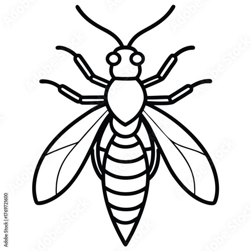 bee vector illustration
