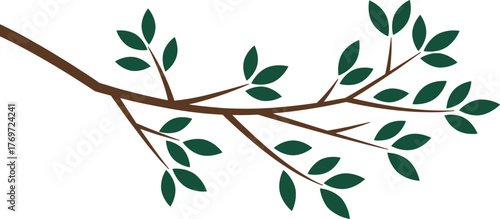 Simple vector illustration of a tree branch with dark green leaves, representing nature, organic growth, and ecology, an isolated graphic element for spring and environmental design projects.