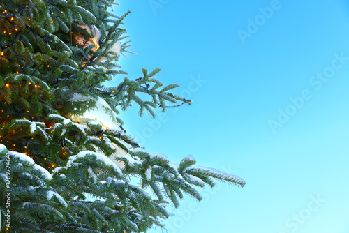 Festive Christmas Tree Decoration Against Clear Blue Sky