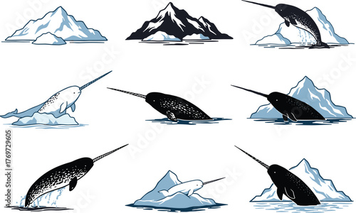 Narwhal illustrations collection, Arctic whale swimming and jumping near icebergs, ocean wildlife vector art, marine animal design, polar sea nature concept