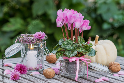 romantisches Garten-Arrangement mit pink Alpenveilchen (Cyclamen) und Kerze im Glas	
