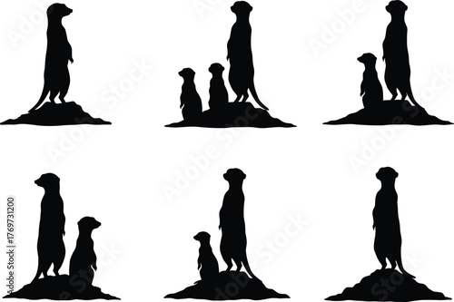 Fotografie Meerkat silhouettes collection, standing and sitting meerkats on mound, wildlife